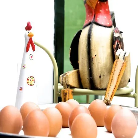 מלון Zur Steirerstub'n גראץ