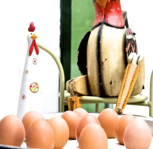 מלון Zur Steirerstub'n גראץ